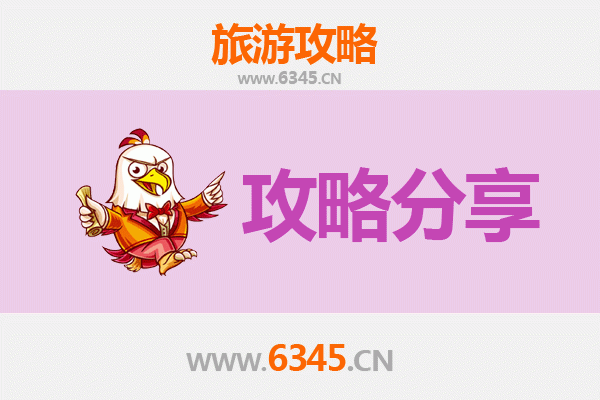 郑州新郑旅游攻略：跟团与自由行全方位解析